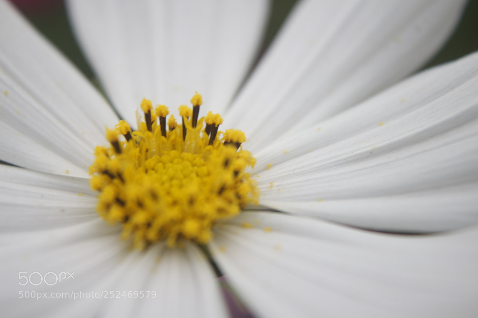 Canon EOS 700D (EOS Rebel T5i / EOS Kiss X7i) sample photo. Untitled photography