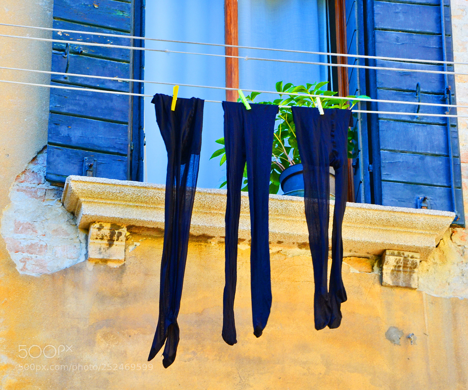 Nikon D5100 sample photo. Three photography