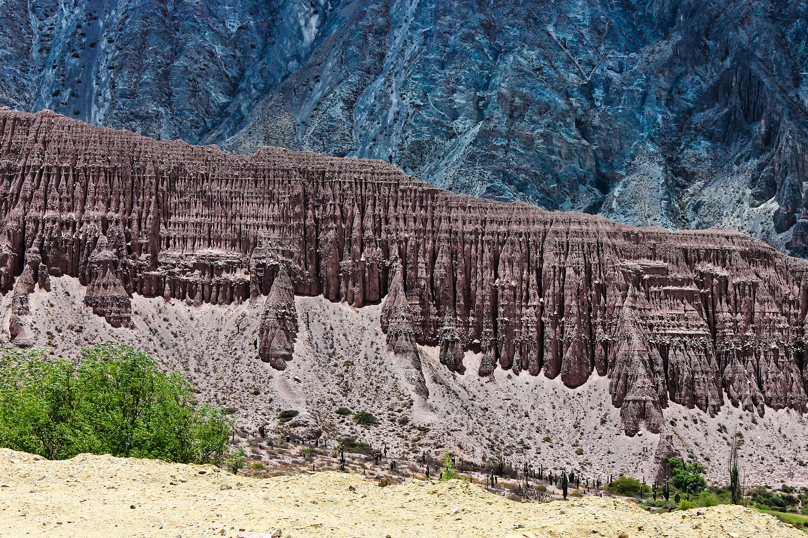 Canon EOS 1100D (EOS Rebel T3 / EOS Kiss X50) sample photo. Andes argentine photography