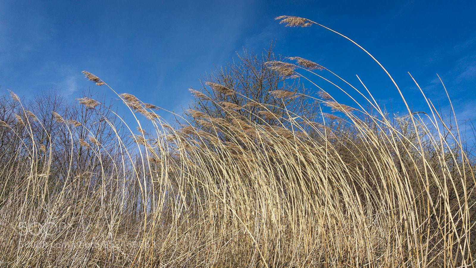 Sony a6000 sample photo. Windy day photography
