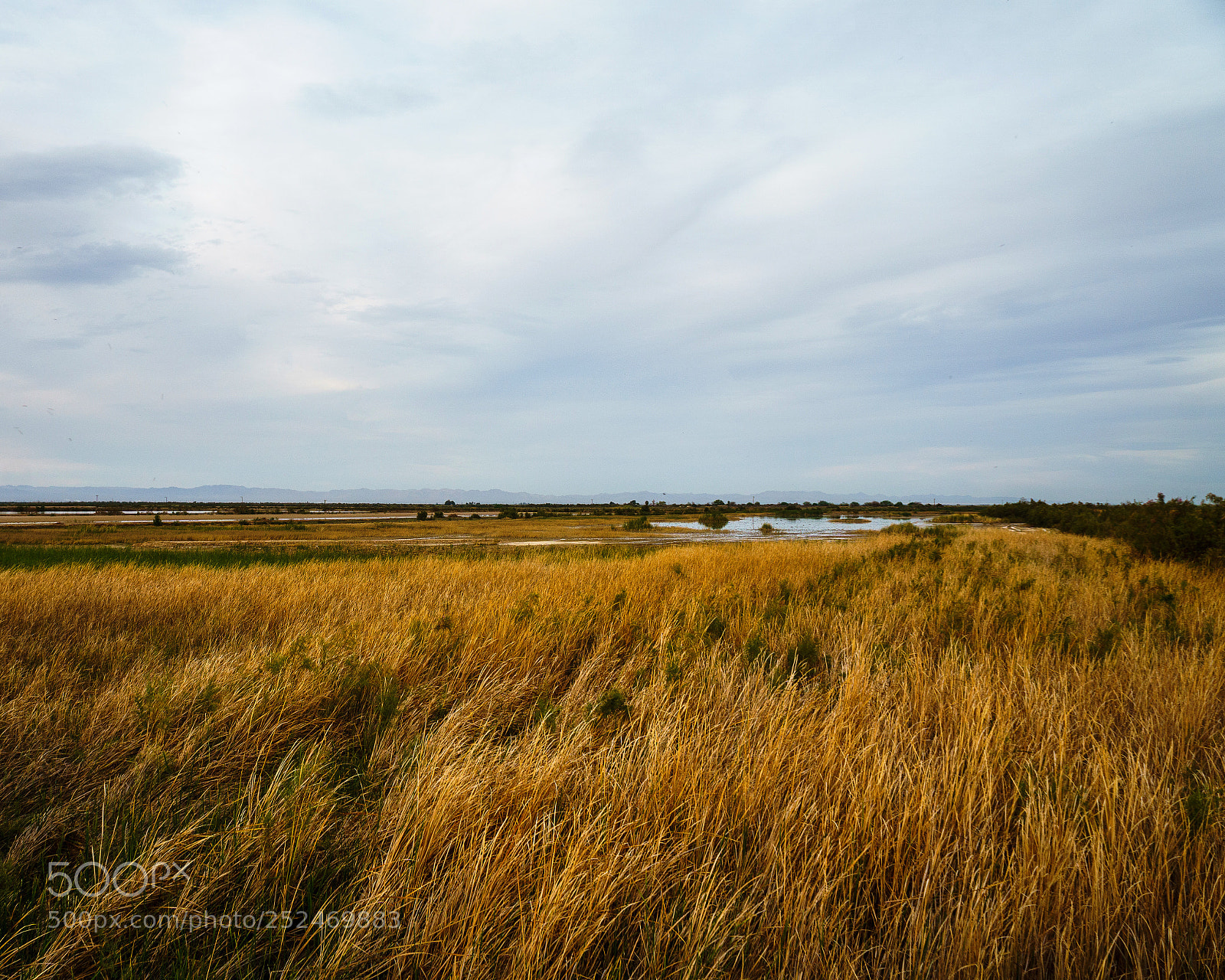 Sony a6000 sample photo. Late afternoon at the photography