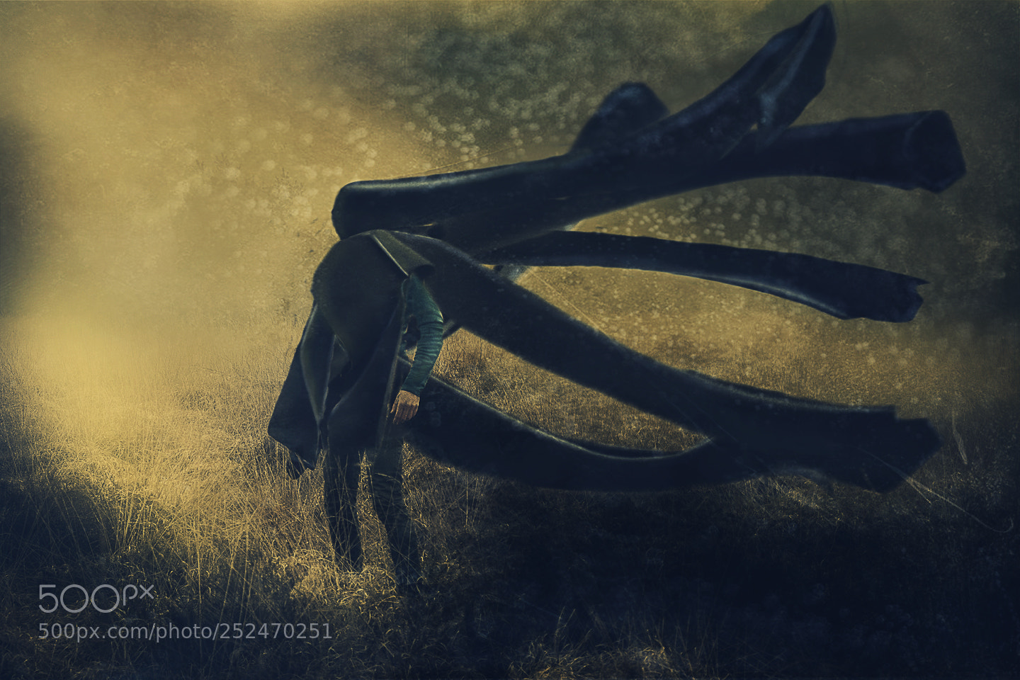 Fujifilm X-T2 sample photo. Octopus man photography