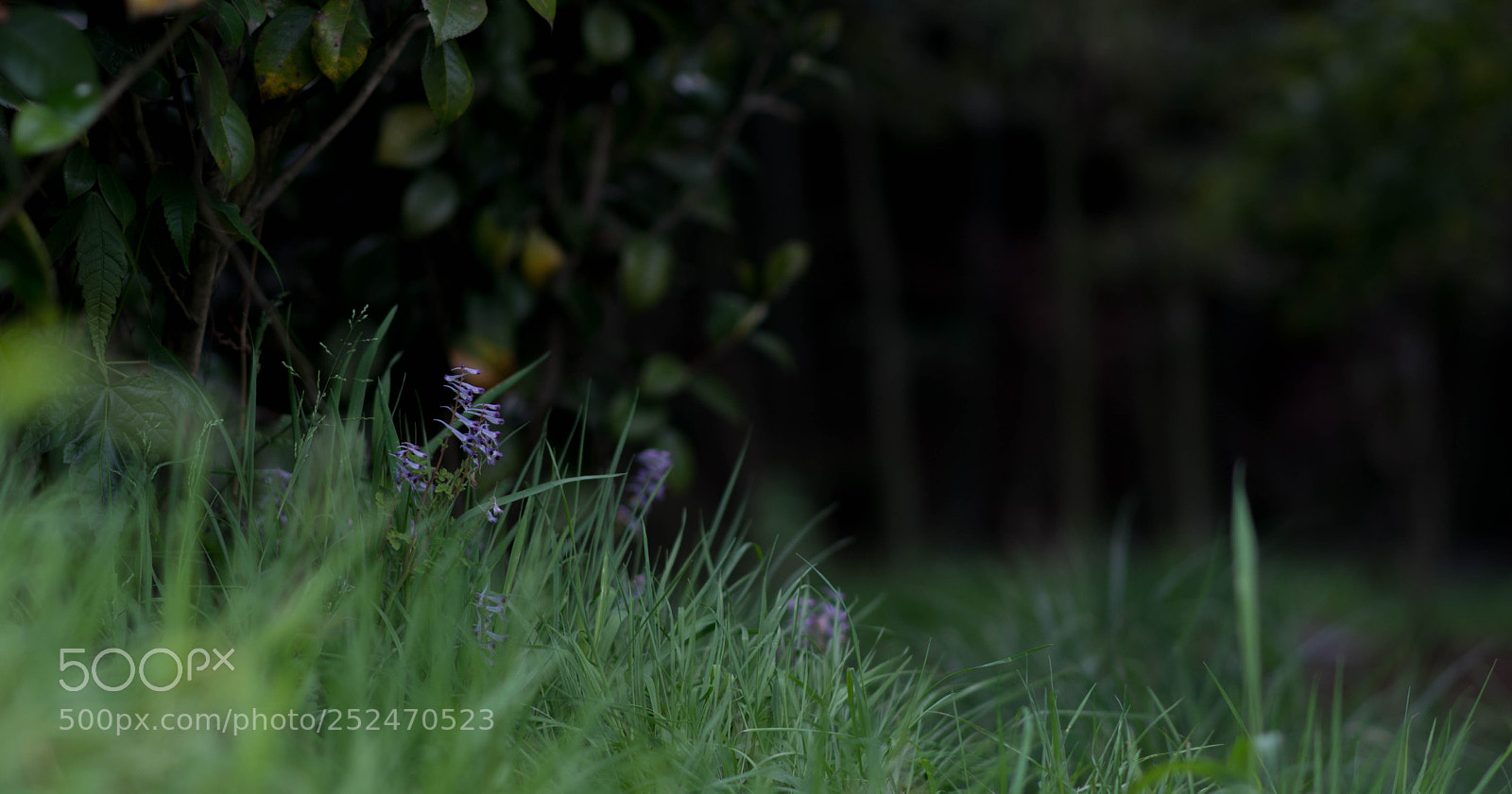 Nikon D7100 sample photo. Untitled photography