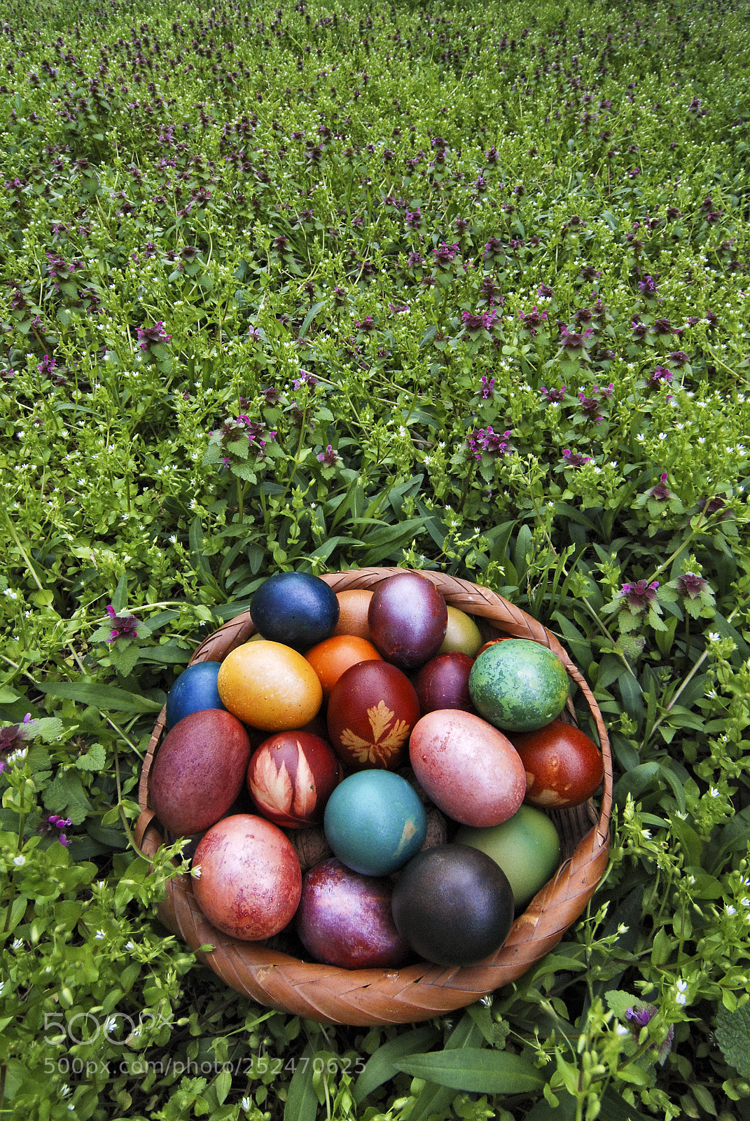 Nikon D80 sample photo. Easter eggs in the photography