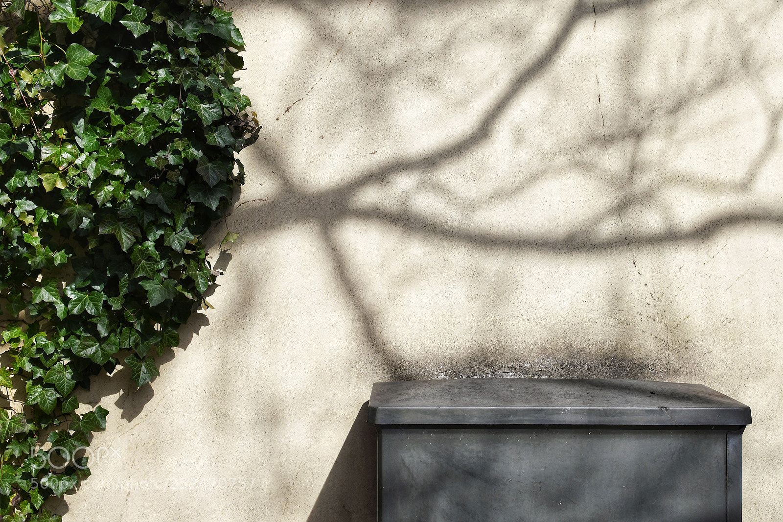 Nikon D7500 sample photo. Composition with shadow photography