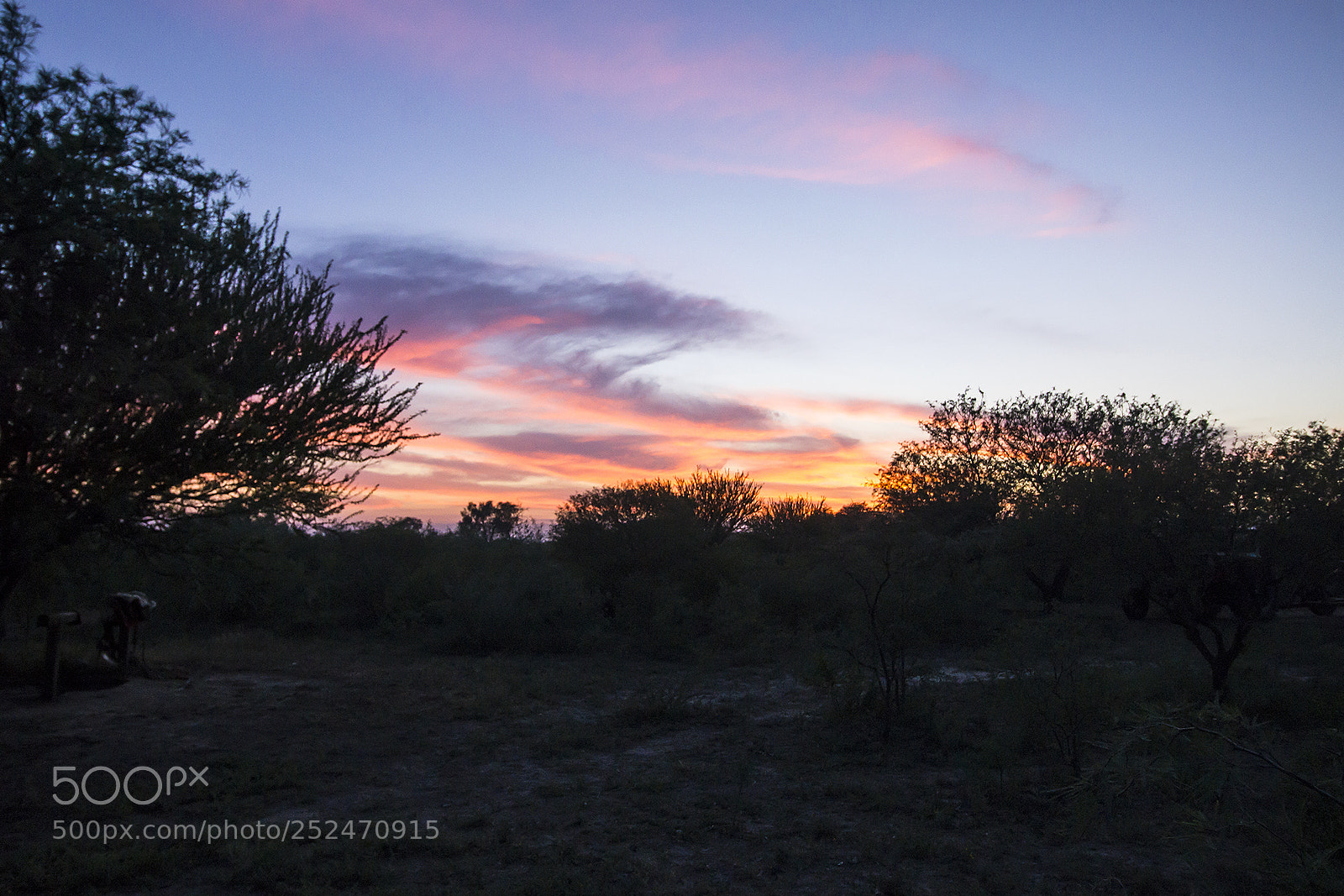 Sony a6000 sample photo. Amanecer en los quebrachos... photography