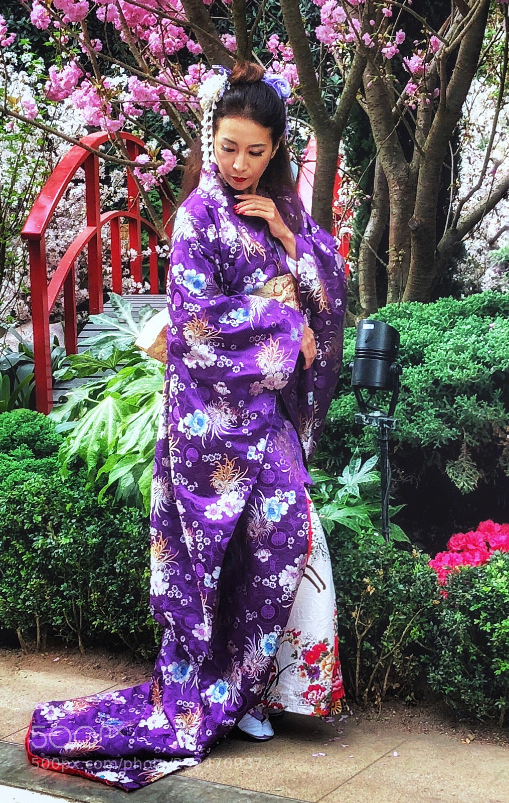 Apple iPhone 8 Plus sample photo. Sakura matsuri  photography