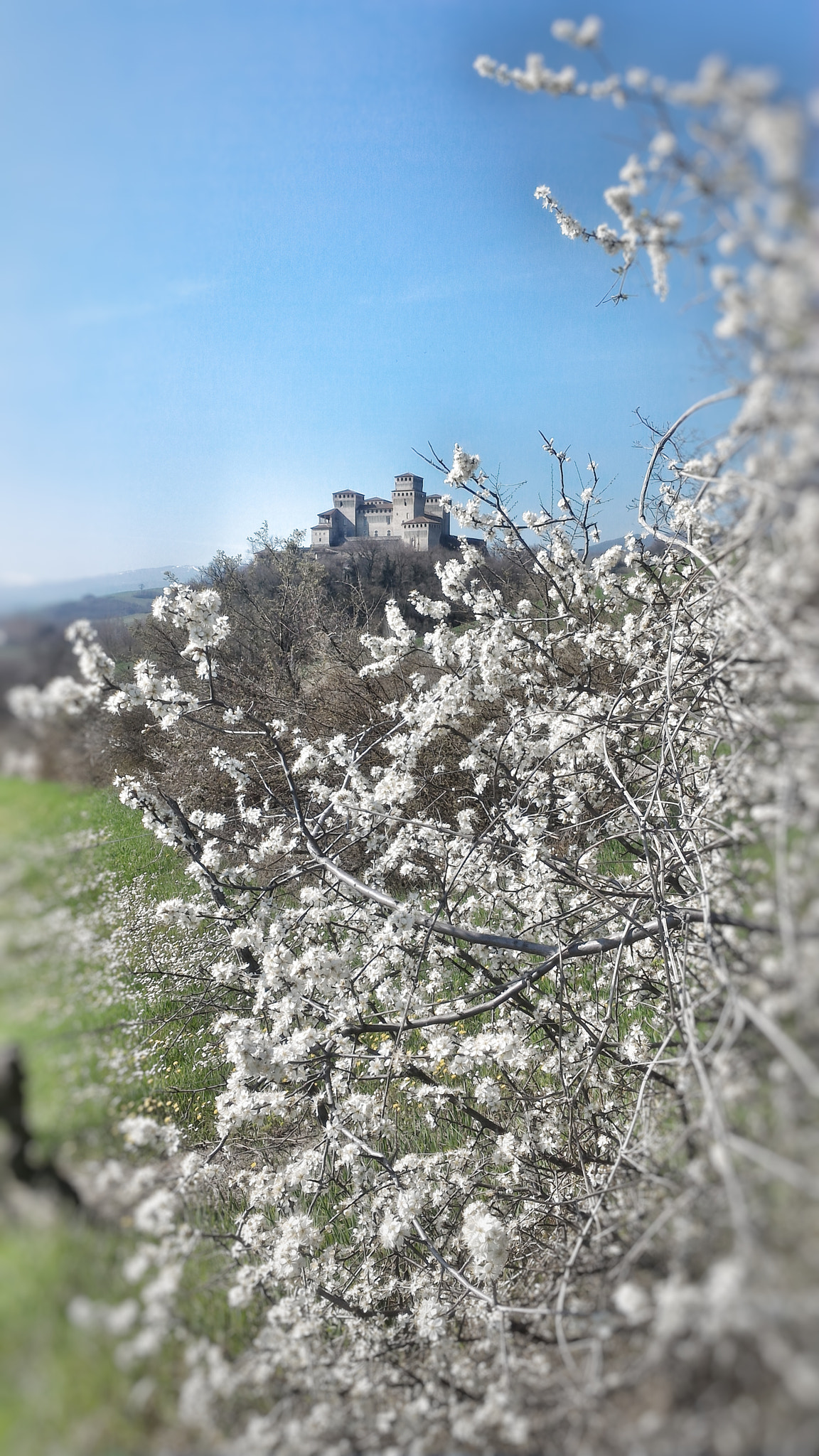 ASUS ZenFone 2 (ZE551ML) sample photo