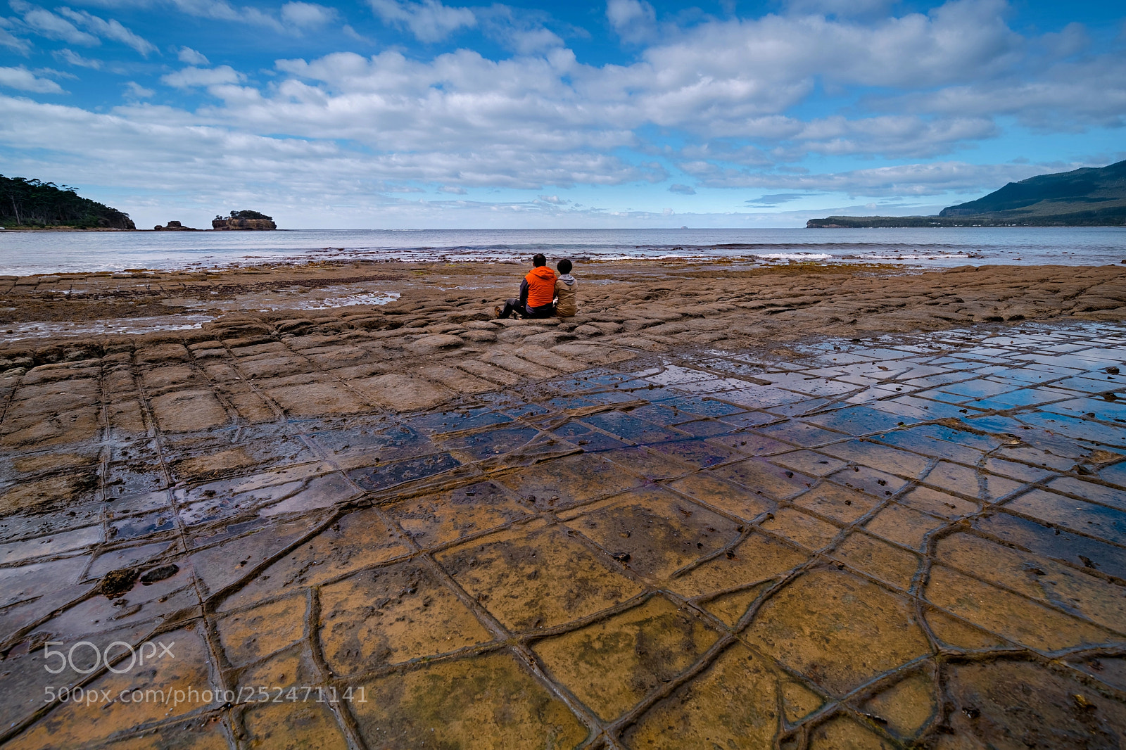 Nikon D850 sample photo. Tessellated pavement photography