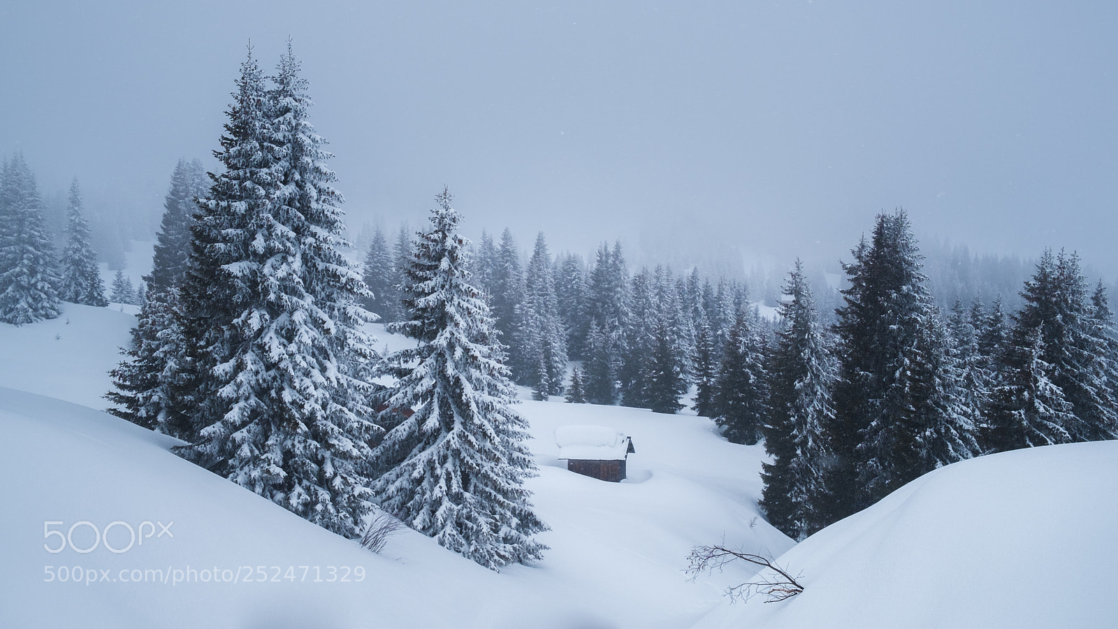 Fujifilm X-E1 sample photo. Winter wonderland photography