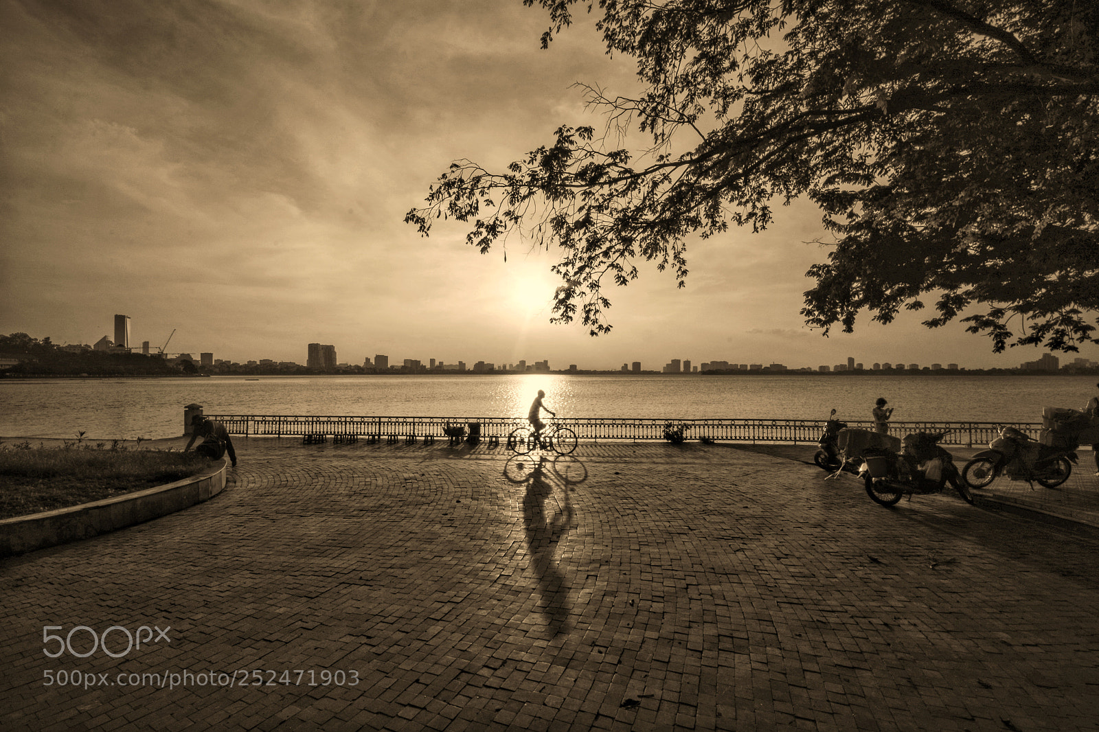 Nikon D7100 sample photo. Untitled photography