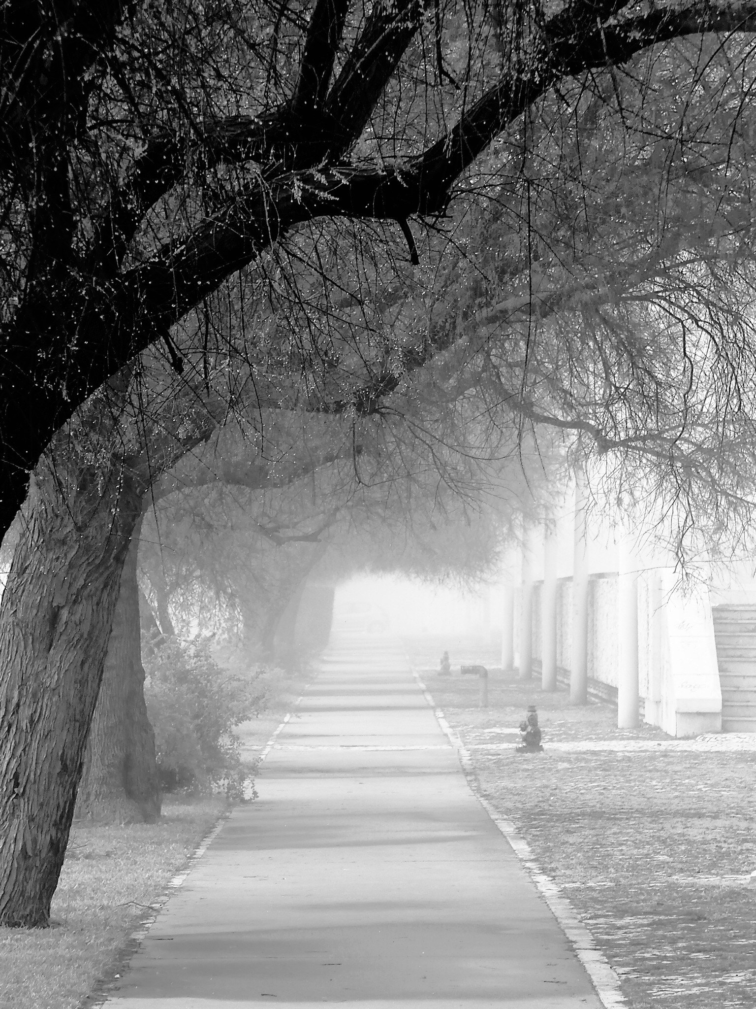 Leica C (Typ 112) sample photo. The first days of spring photography