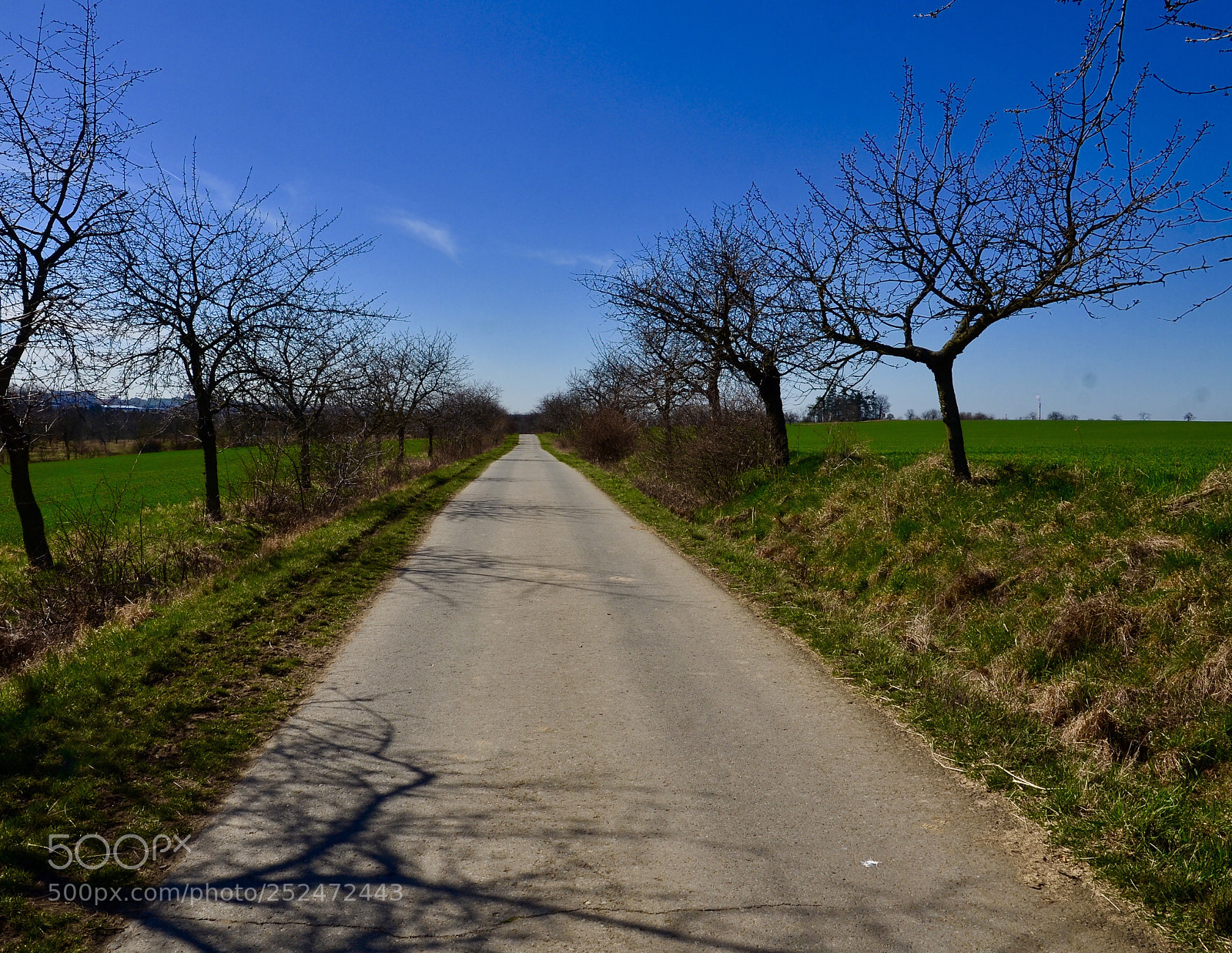 Nikon D5100 sample photo. On way photography