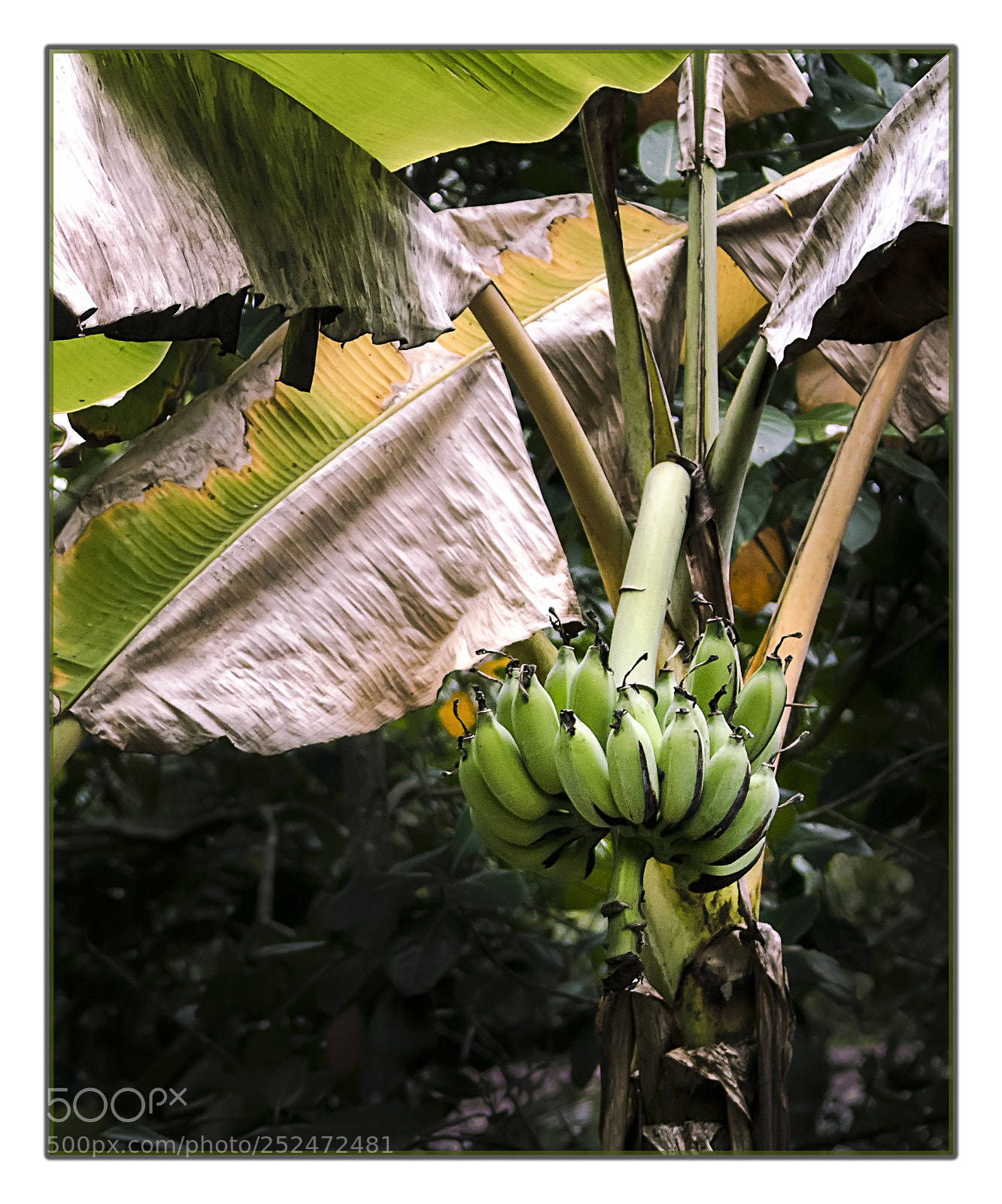 Canon EOS 750D (EOS Rebel T6i / EOS Kiss X8i) sample photo. In the countryside, next photography