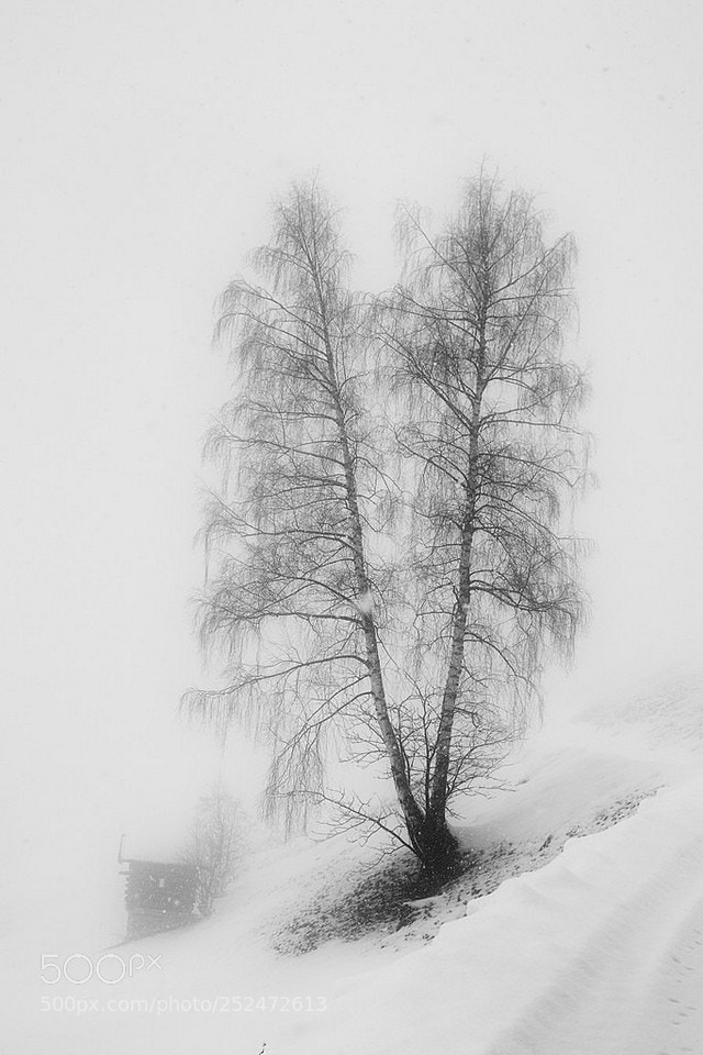 Canon EOS 7D Mark II sample photo. A lonely place photography