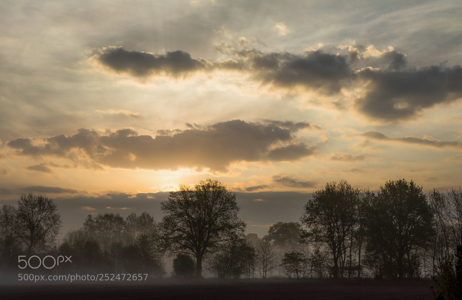 Sony Alpha DSLR-A580 sample photo. Morning mist photography