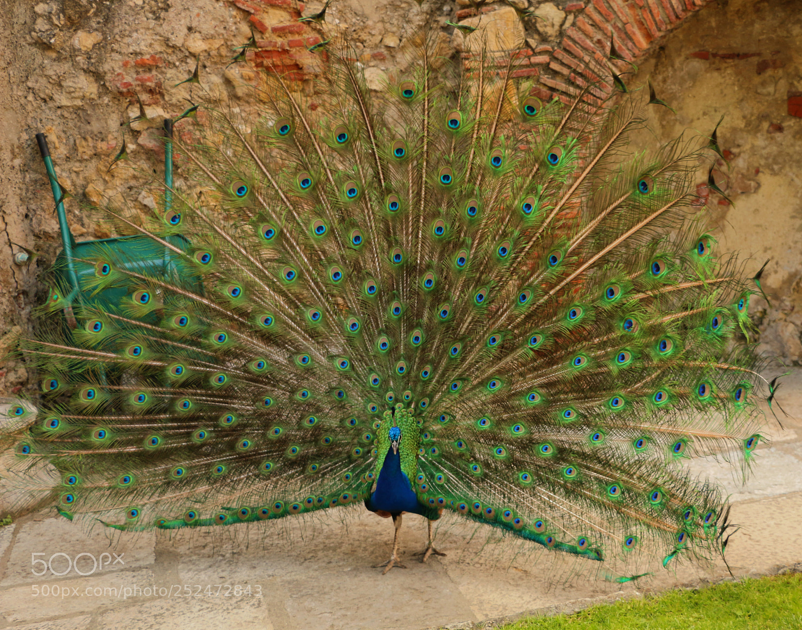 Canon EOS 70D sample photo. The display of a photography