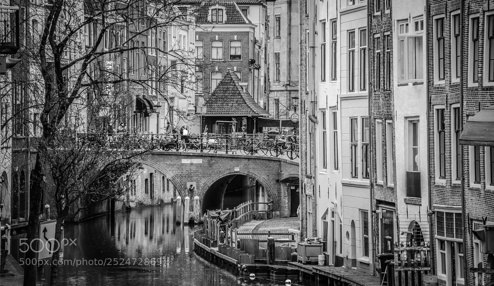 Nikon D7100 sample photo. Bend photography