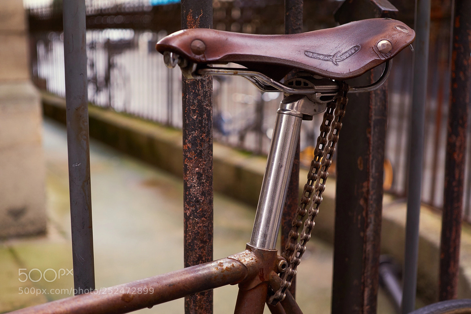 Sony a6000 sample photo. Rusty and chained but photography