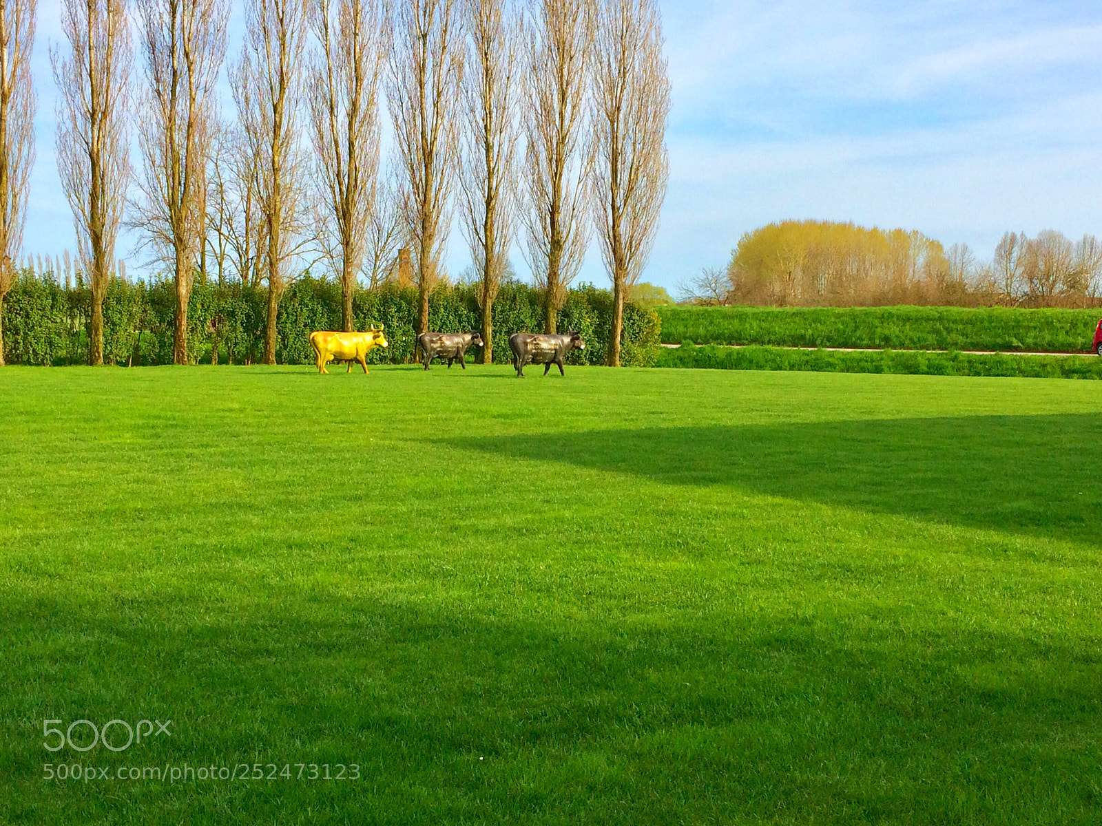 Apple iPhone 5s sample photo. Green peace  photography