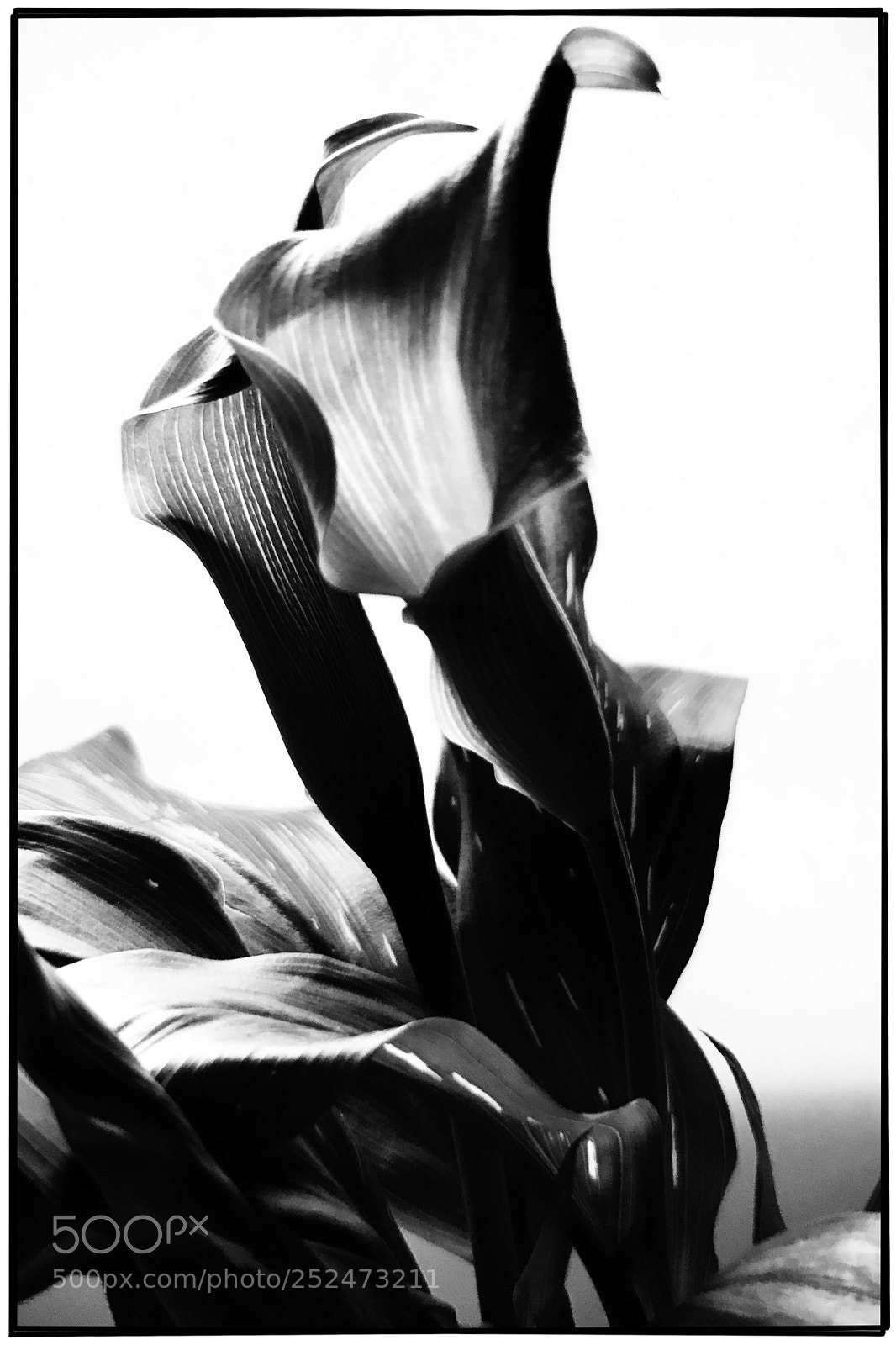 Apple iPhone 7 Plus sample photo. Easter photography