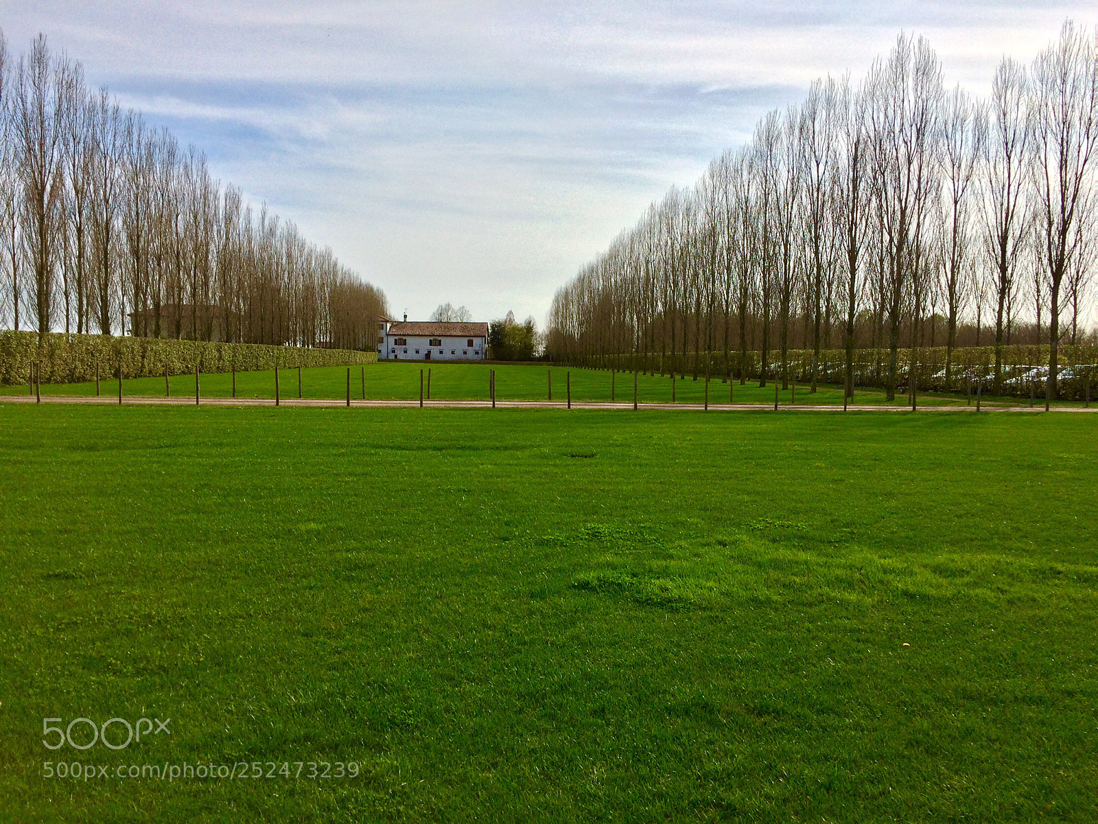 Apple iPhone 5s sample photo. Green peace  photography