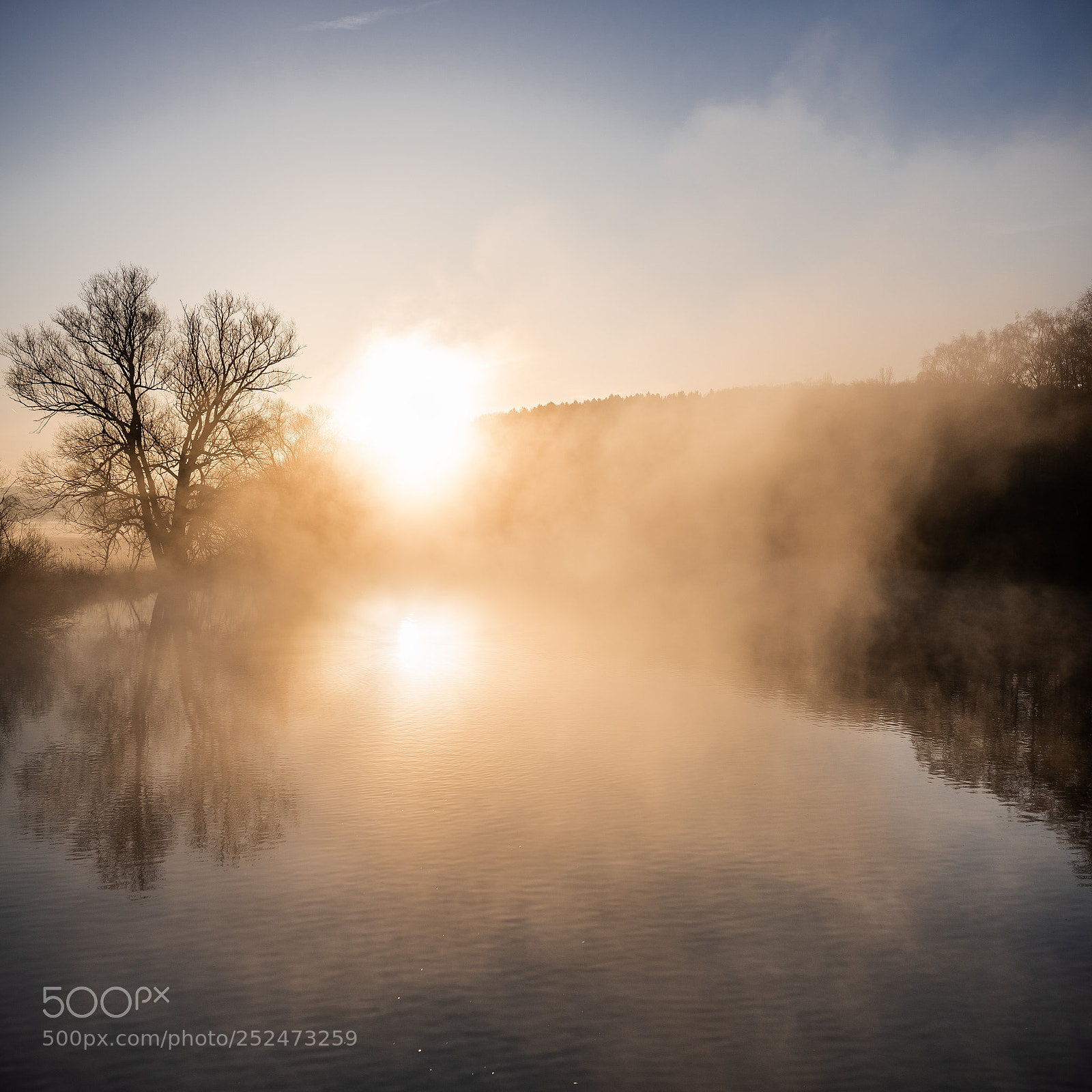 Nikon D810 sample photo. Misty sunrise photography