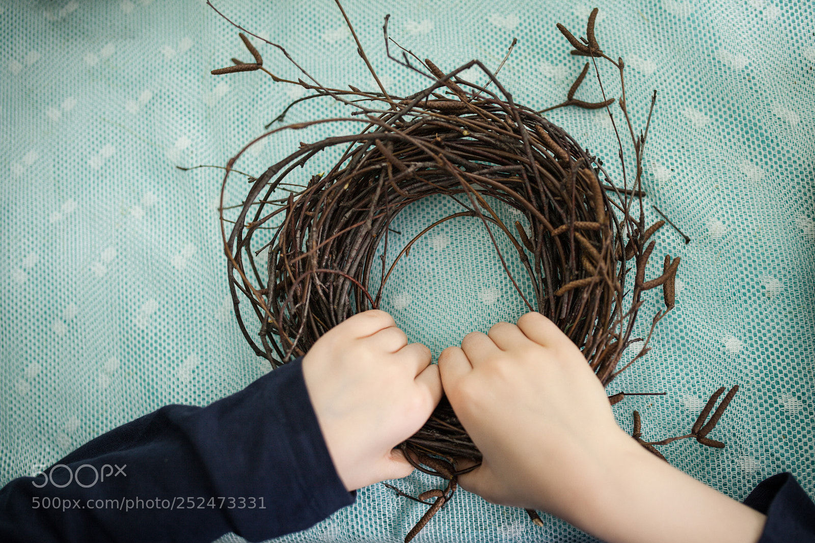 Canon EOS 5D Mark II sample photo. Wreath of branches, nest photography