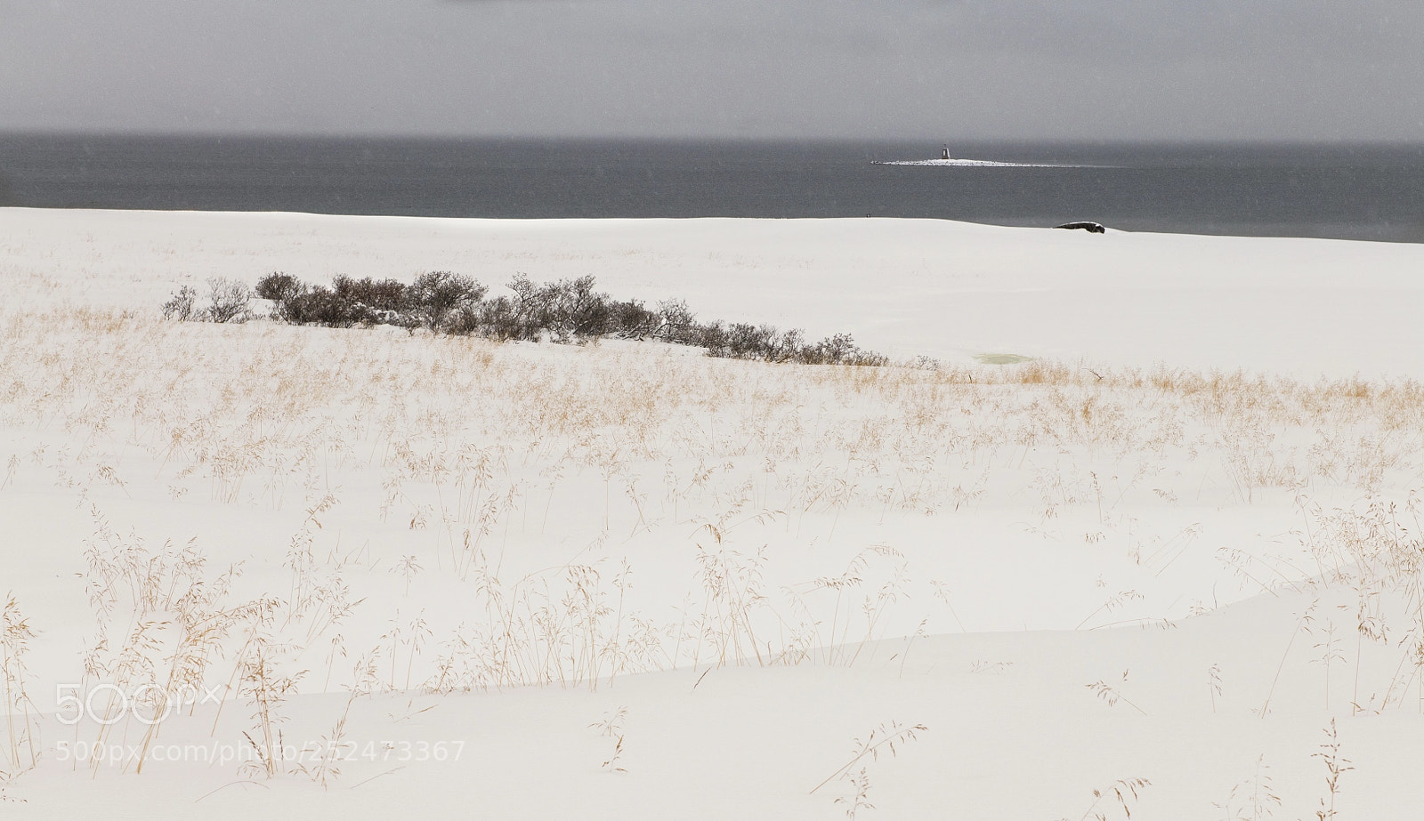 Nikon D850 sample photo. Snowy weather  photography