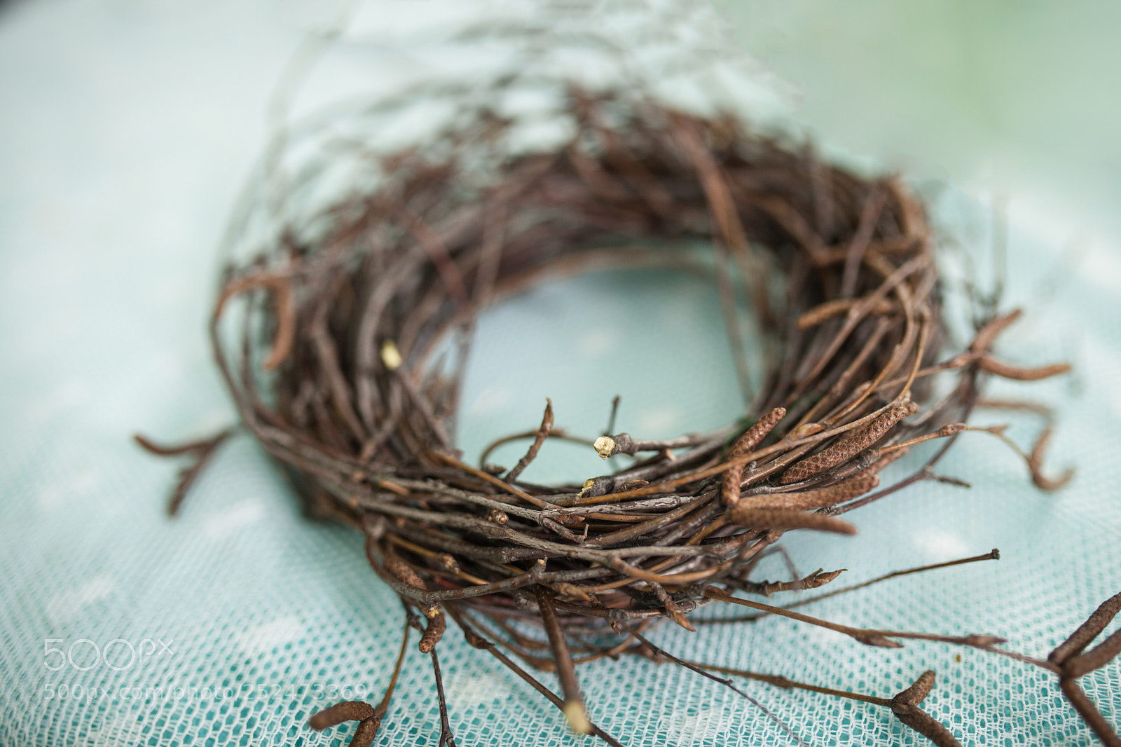 Canon EOS 5D Mark II sample photo. Wreath of branches, nest photography