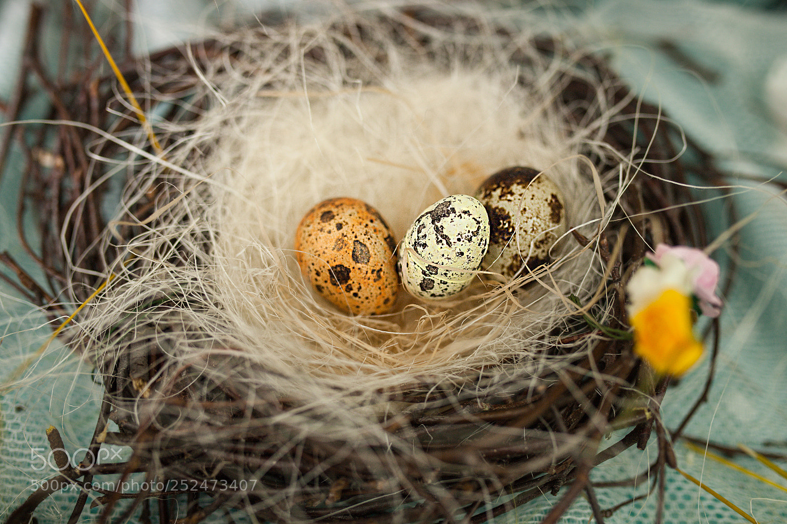 Canon EOS 5D Mark II sample photo. Children make a nest photography