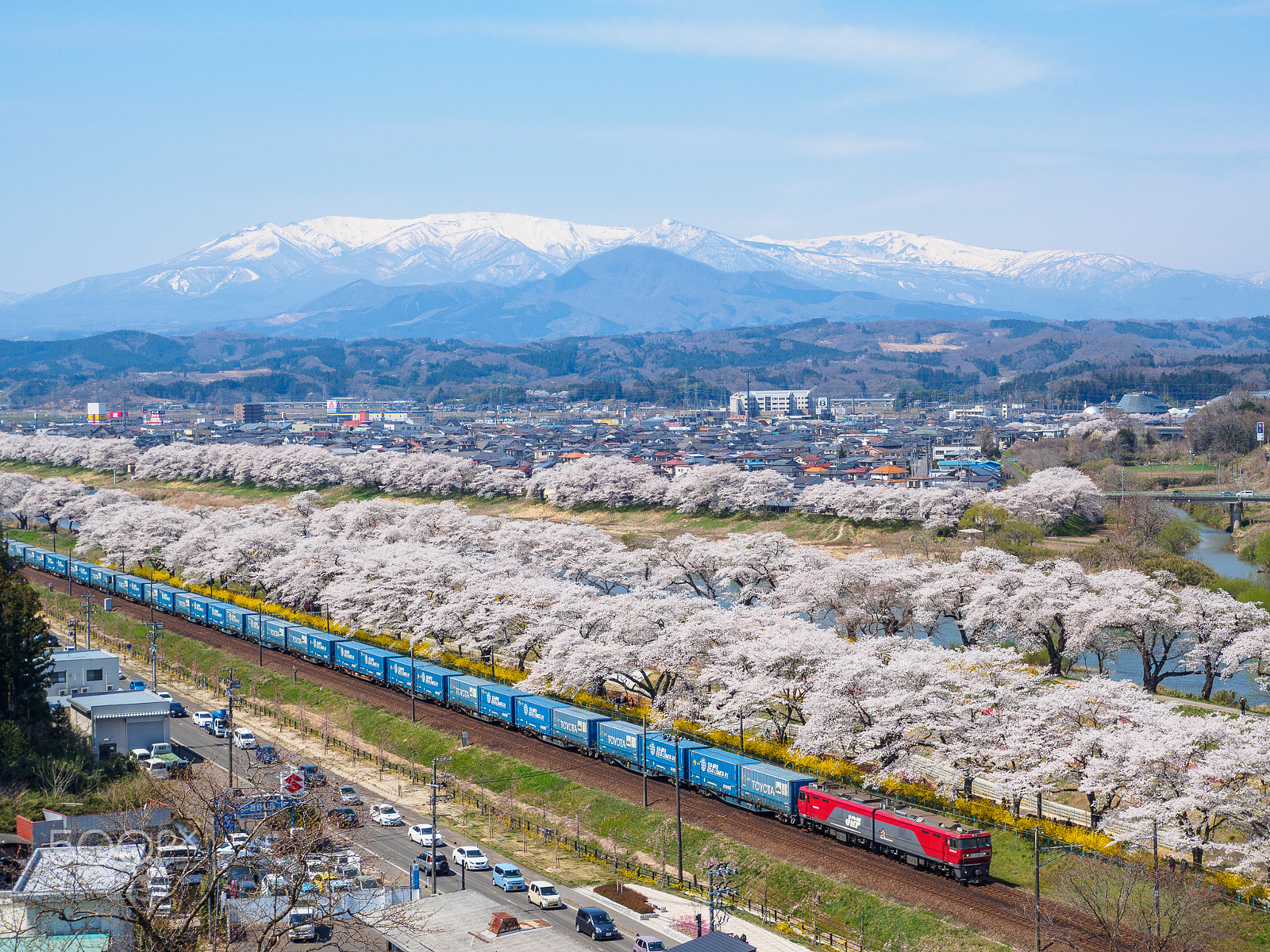 Olympus PEN E-PL9 sample photo. Along with cherry blossoms photography