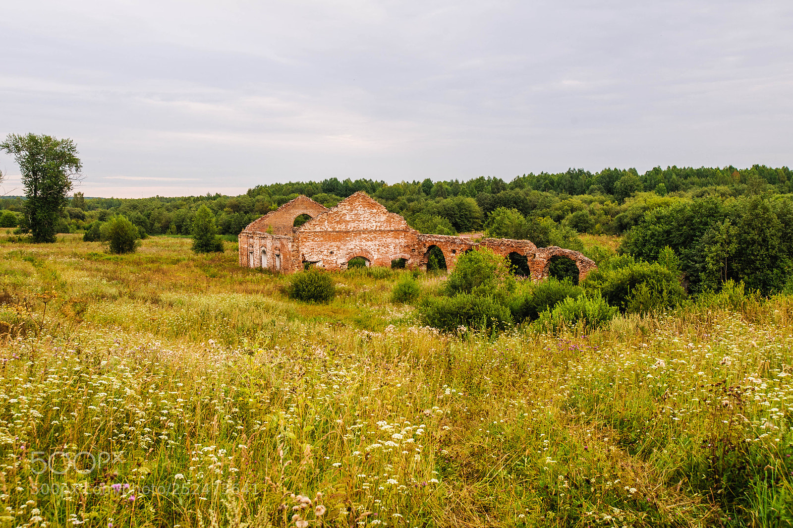 Nikon D700 sample photo. Елизавето-Пожевской завод photography