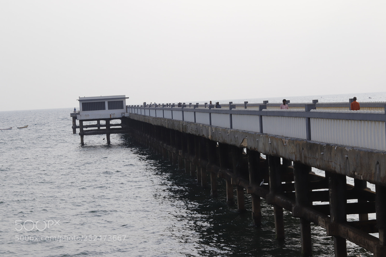 Canon EOS 77D (EOS 9000D / EOS 770D) + Canon EF 50mm F1.8 STM sample photo. Neverland's view photography
