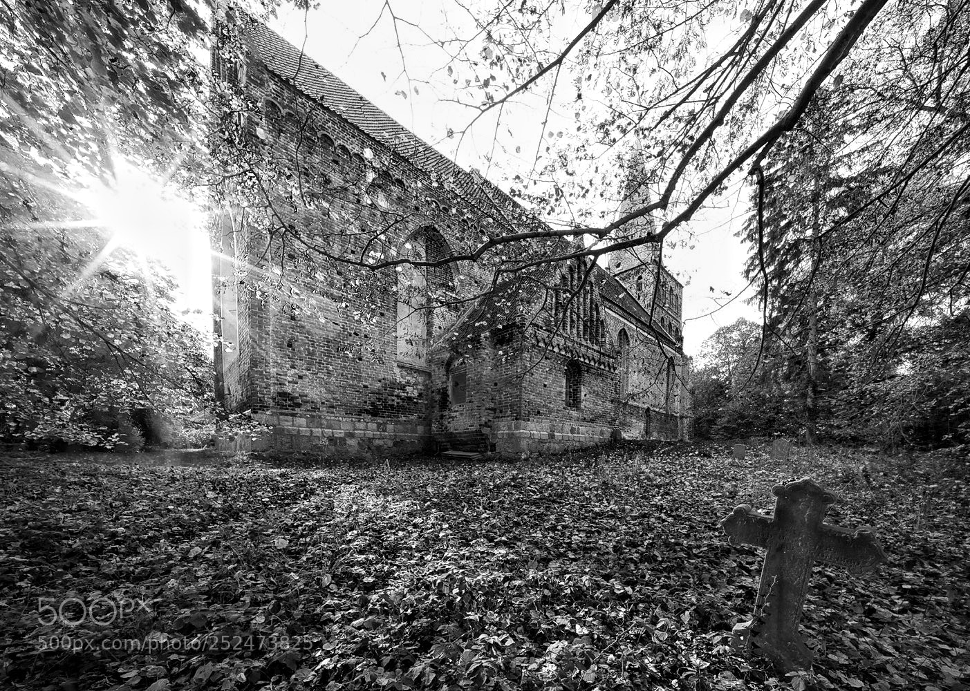 Sony a7R sample photo. Churchyard photography