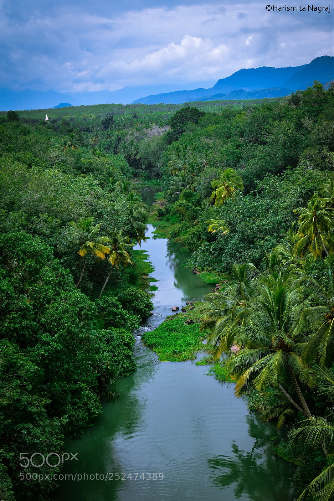 Nikon D5600 sample photo. A e s t photography