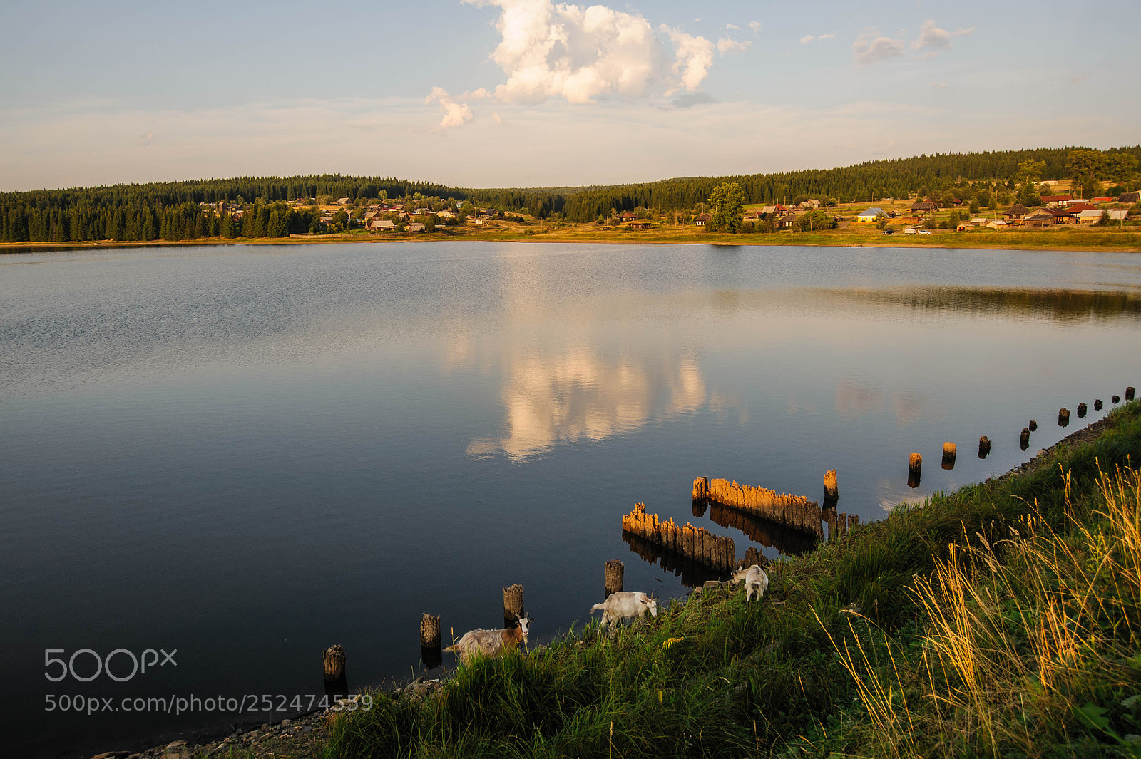 Nikon D700 sample photo. Бисерский пруд photography