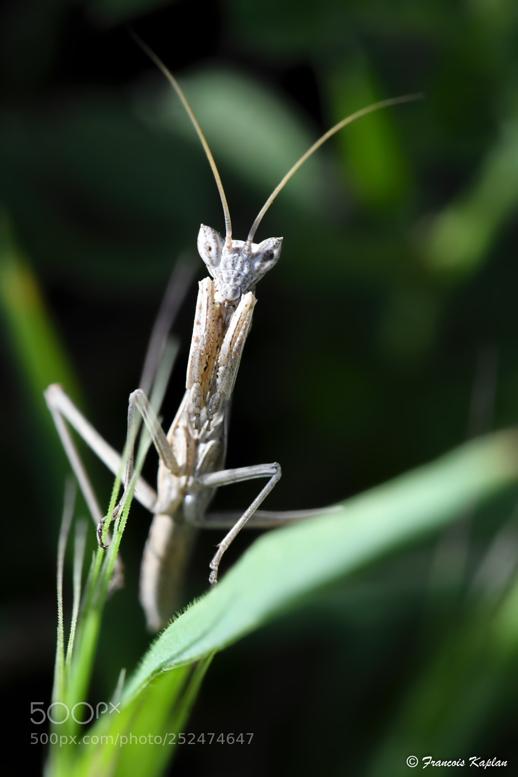 Nikon D500 sample photo. Edit photography