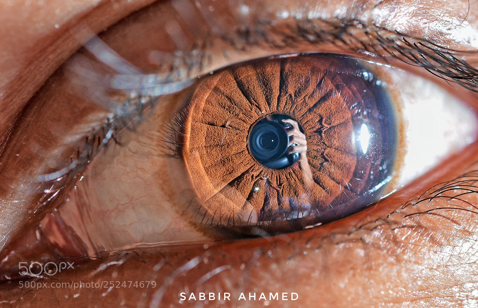 Nikon D7100 sample photo. Untitled photography