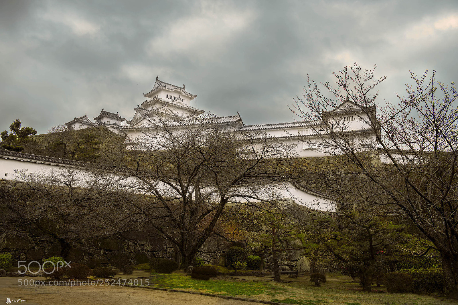 Nikon D810 sample photo. Il castello nijo photography