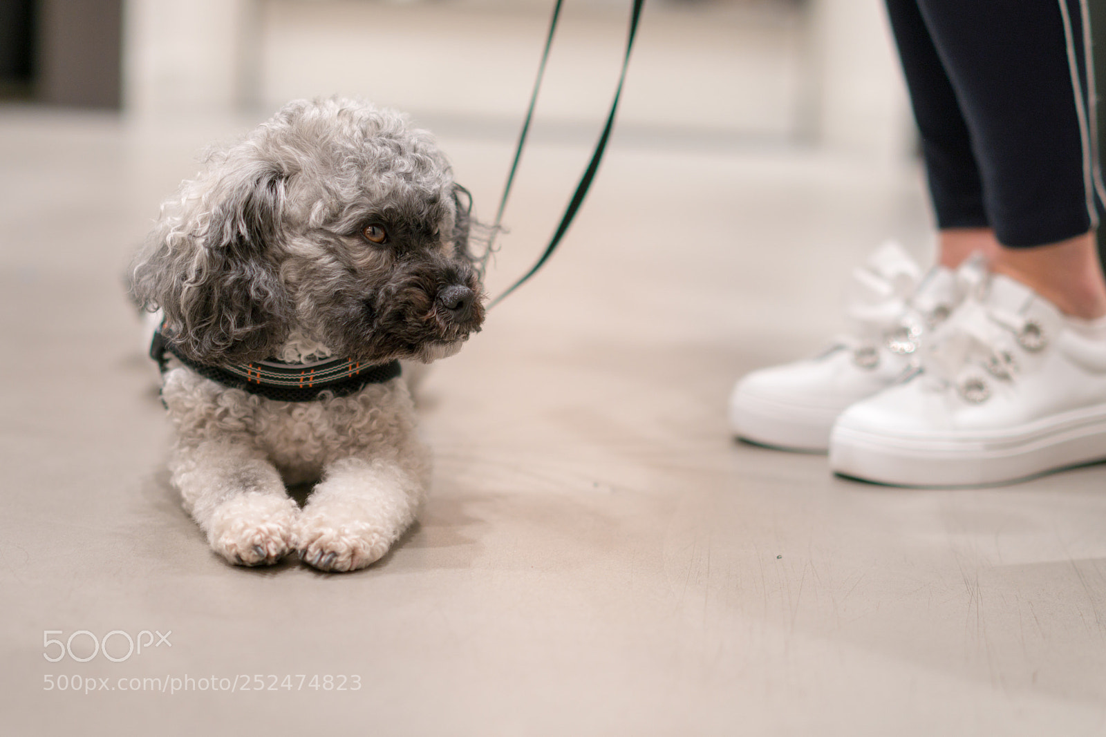 Sony a6300 sample photo. Still waiting photography
