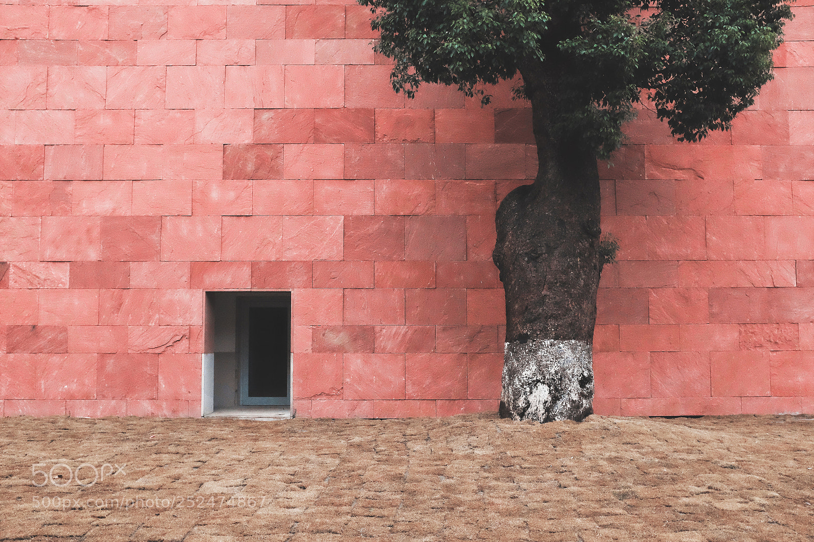 Fujifilm X100T sample photo. Red photography