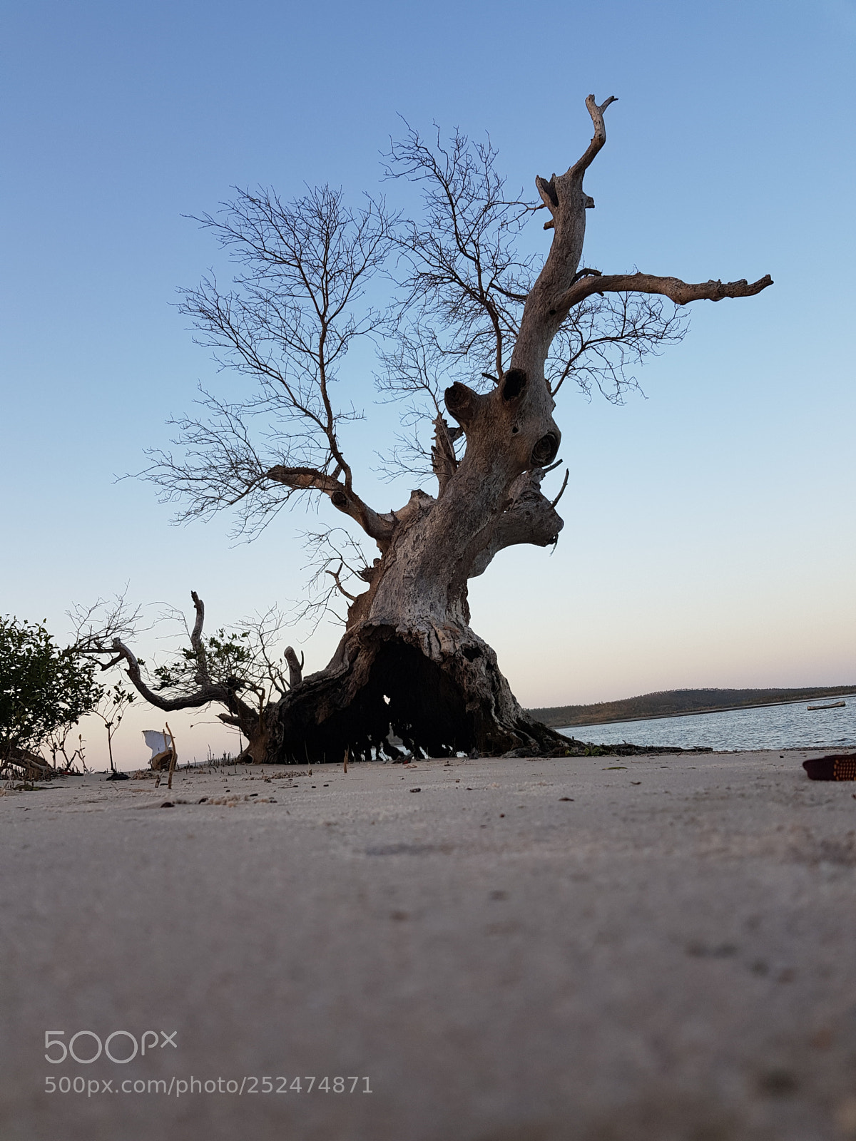 Samsung Galaxy S8 sample photo. Stand strong photography