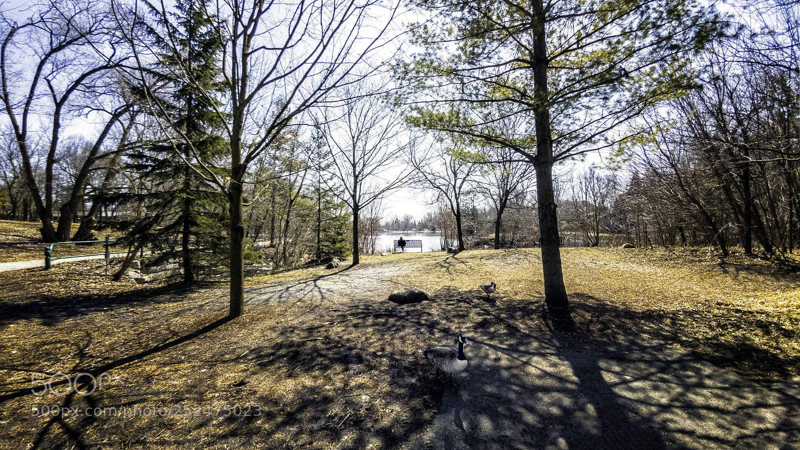LG G5 sample photo. Mill pond park-richmond hill photography