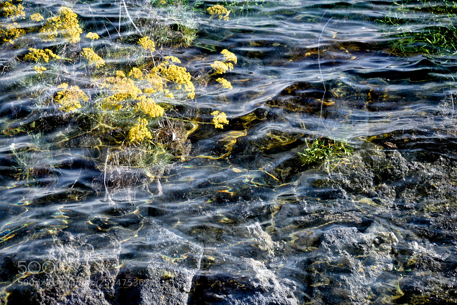 Nikon D800E sample photo. Reflections2 photography