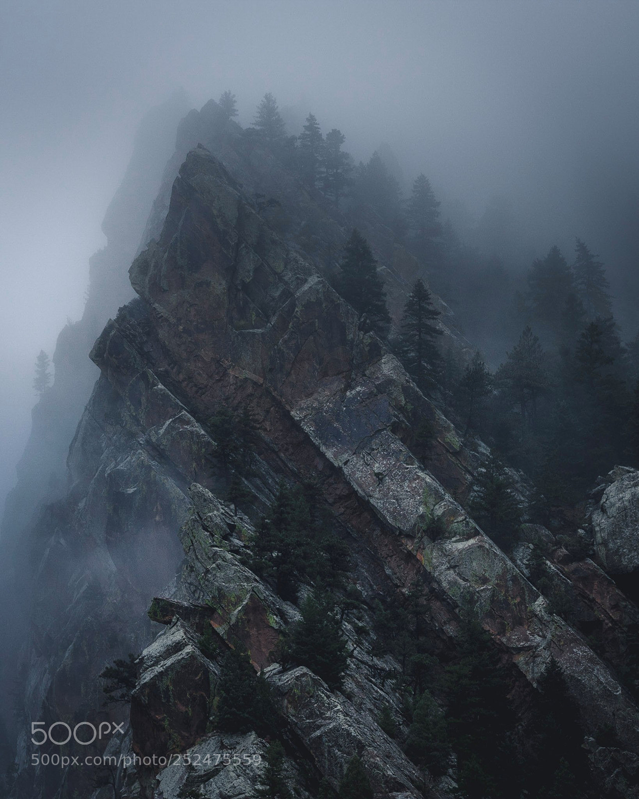 Canon EOS 550D (EOS Rebel T2i / EOS Kiss X4) sample photo. Foggy peaks photography