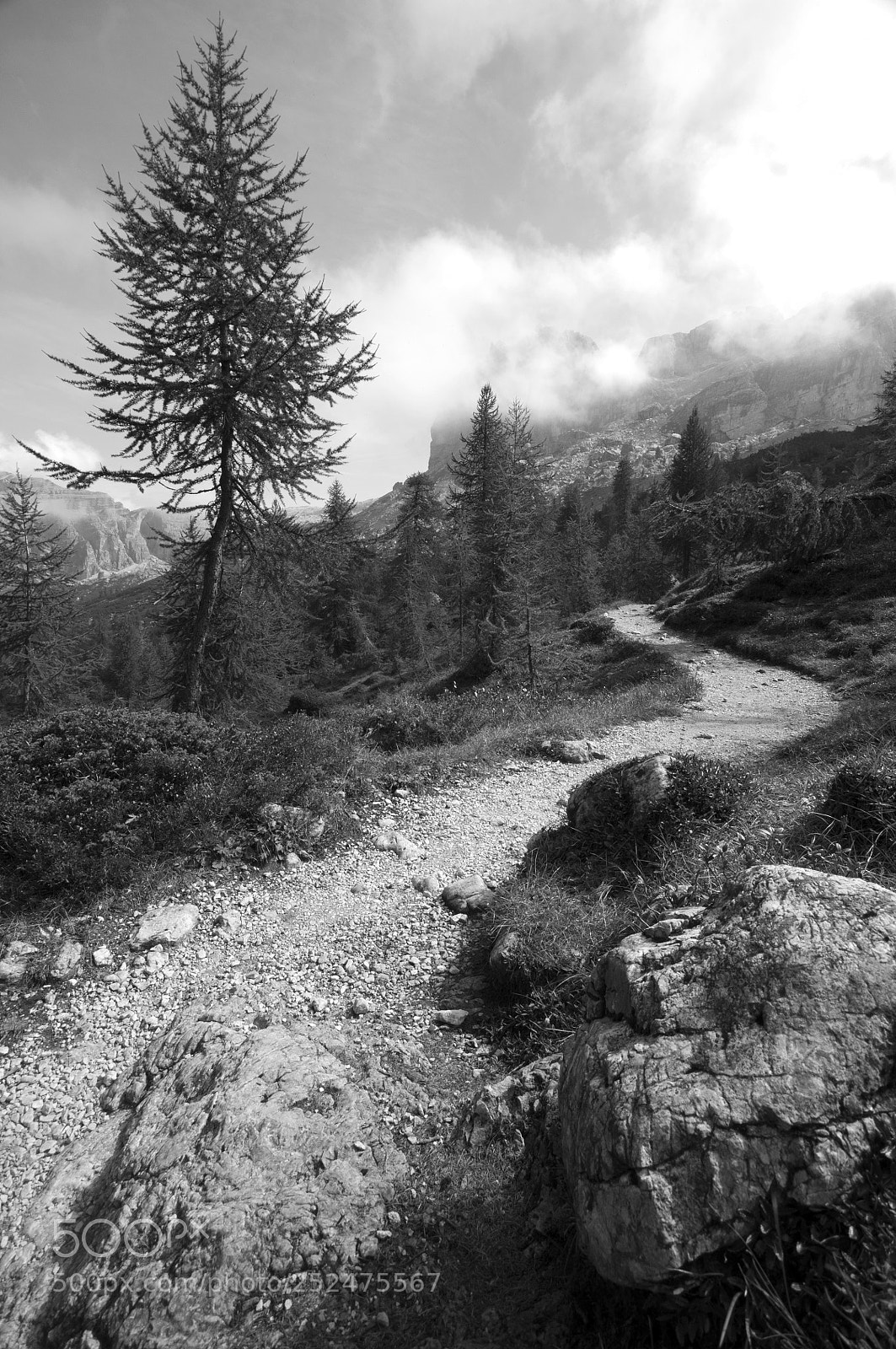 Nikon D90 sample photo. Hiking dream photography