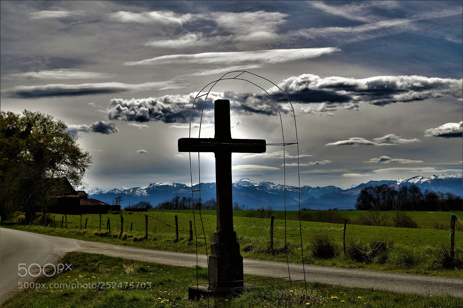 Nikon D5300 sample photo. Untitled photography