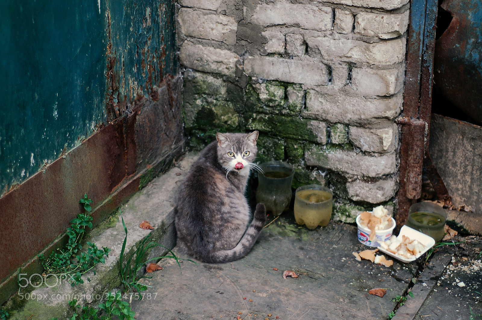 Nikon D50 sample photo. Untitled photography