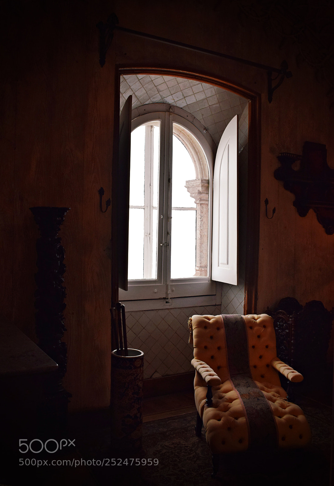 Nikon D3300 sample photo. Resting by the window photography